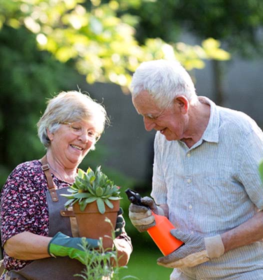 a retired couple gardening together in their backyard